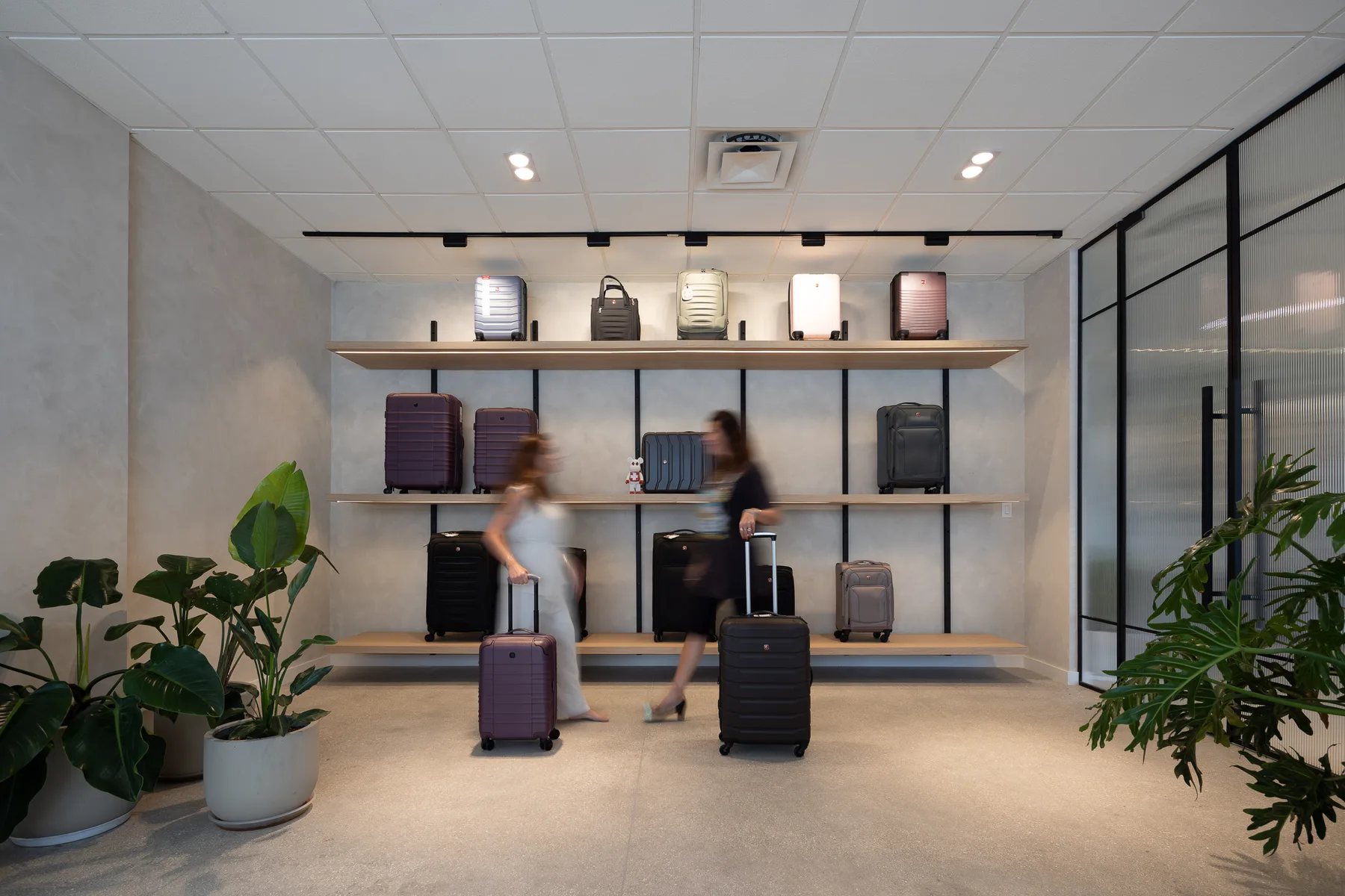Swiss luggage showroom with floating oak display shelves, micro-cement walls and black-framed fluted glass partitions, designed by Paula Ambrosio Interiors